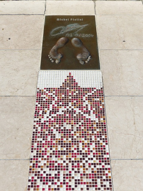 展的未来迈 展的未来迈