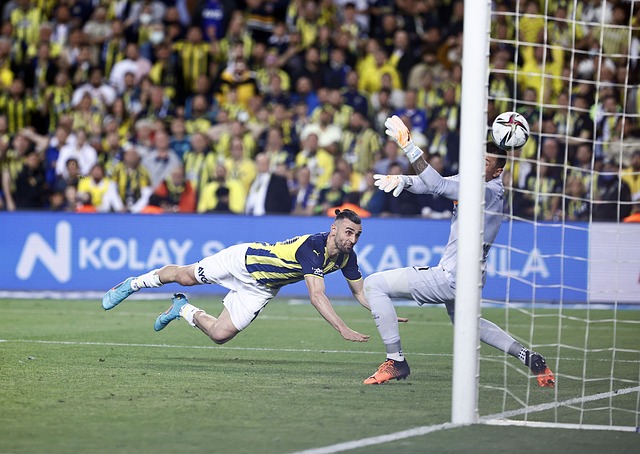 上海海港在 上海海港在