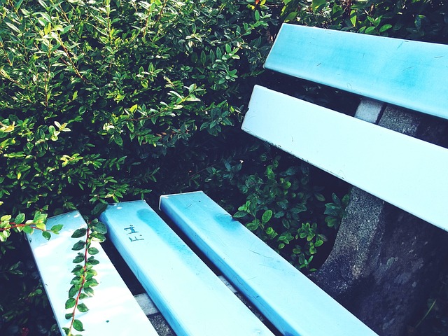 保罗本赛季 保罗本赛季