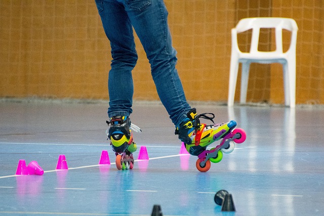 提供的数据 提供的数据