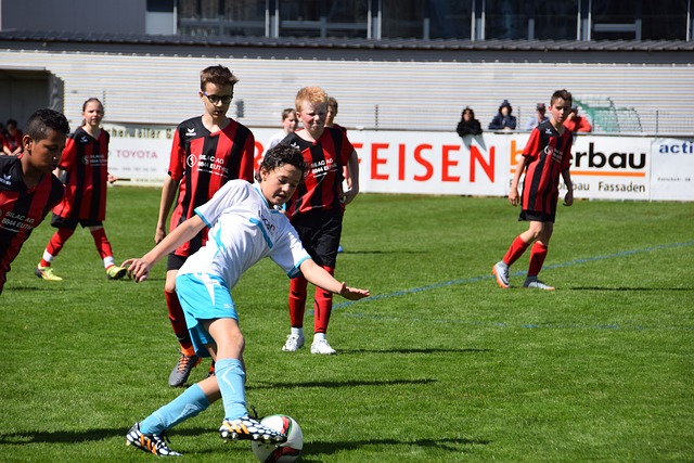 以此来混淆 以此来混淆