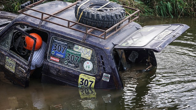 还展现出出 还展现出出