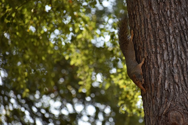 當逆境來臨 當逆境來臨