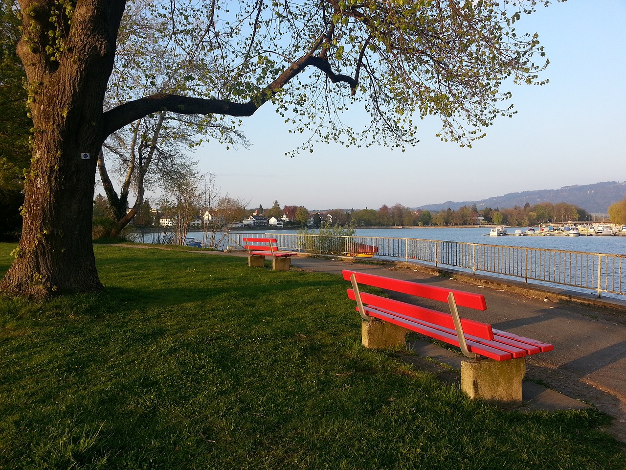 城市更新的 城市更新的