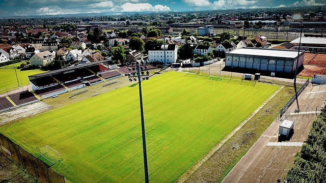 埃尔切在这 埃尔切在这